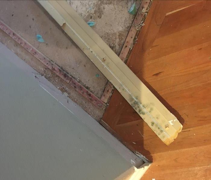 Mold growth on baseboard.