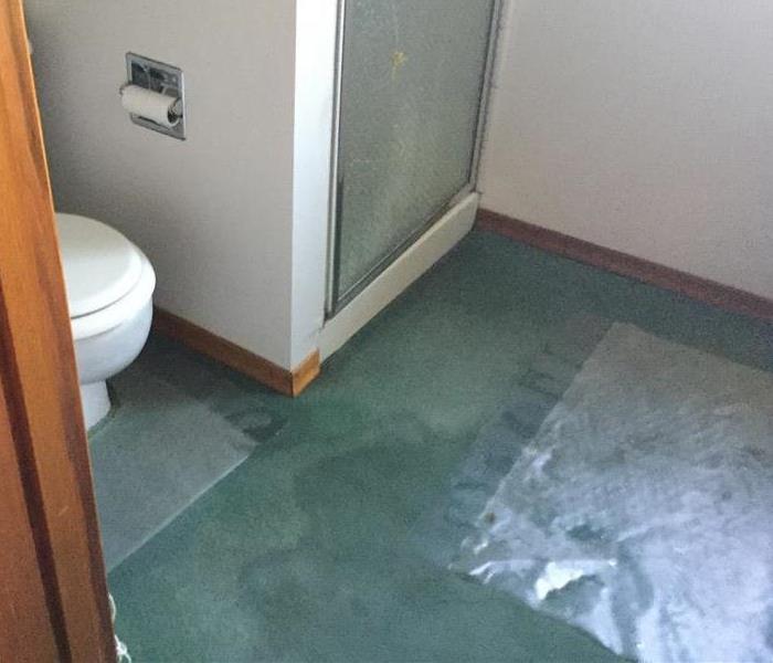 Wet carpet in bathroom.