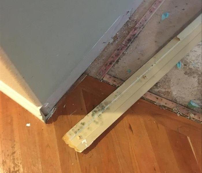 Mold growth on mold baseboard.