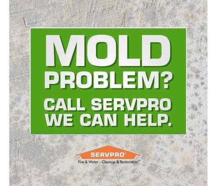 Mold Problem - Call SERVPRO We Can Help graphic.