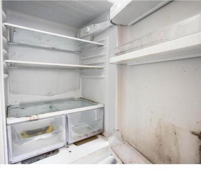 Moldy fridge