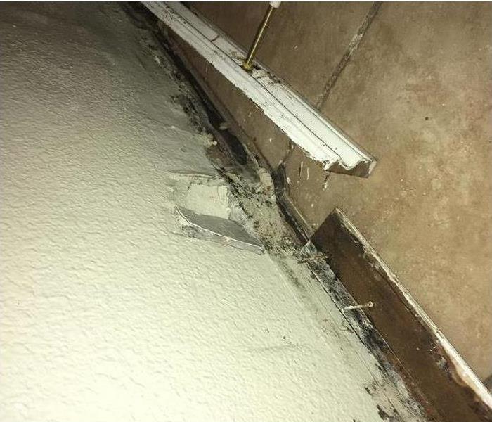 Mold growth in a wall